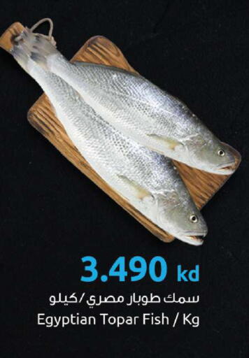 available at مركز سلطان in الكويت - مدينة الكويت