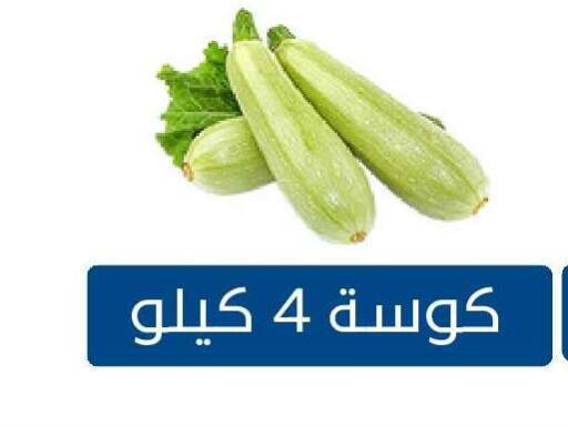 available at Nasim Almouj in KSA, Saudi Arabia, Saudi - Riyadh