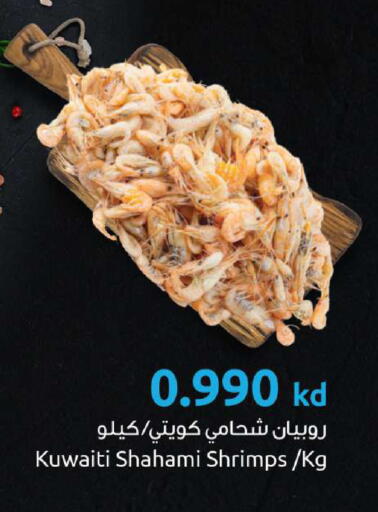 available at The Sultan Center in Kuwait - Jahra Governorate