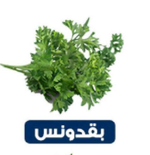 available at Nasim Almouj in KSA, Saudi Arabia, Saudi - Riyadh