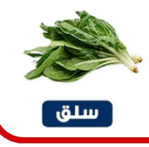 available at Nasim Almouj in KSA, Saudi Arabia, Saudi - Riyadh