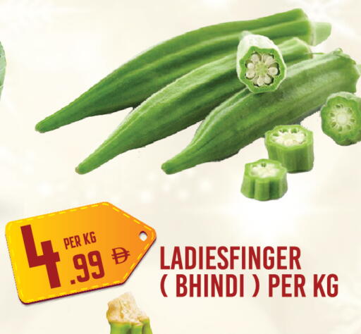 available at Dream Land in UAE - Dubai