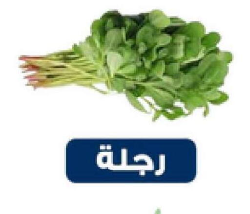 available at Nasim Almouj in KSA, Saudi Arabia, Saudi - Riyadh