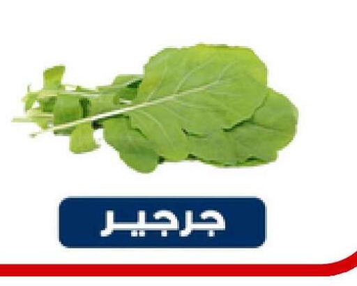 available at Nasim Almouj in KSA, Saudi Arabia, Saudi - Riyadh