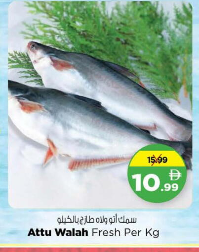 available at Nesto Hypermarket in UAE - Dubai