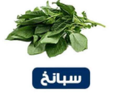 available at Nasim Almouj in KSA, Saudi Arabia, Saudi - Riyadh