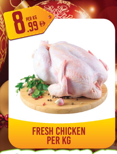 available at دريم لاند in الإمارات العربية المتحدة , الامارات - دبي