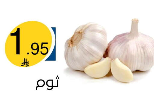 available at Nasim Almouj in KSA, Saudi Arabia, Saudi - Riyadh