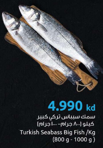 available at The Sultan Center in Kuwait - Ahmadi Governorate