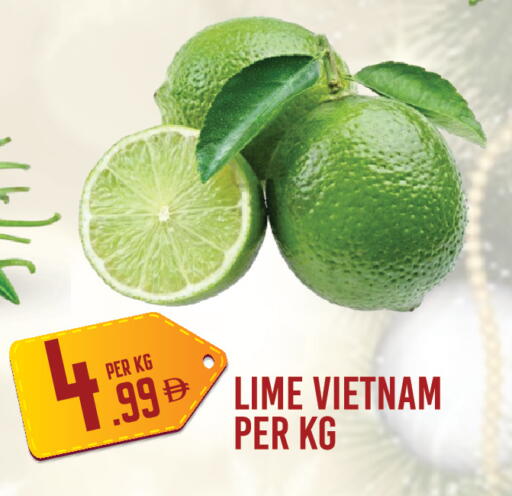 from Vietnam available at دريم لاند in الإمارات العربية المتحدة , الامارات - دبي