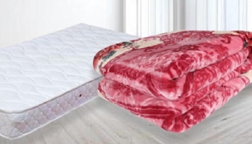 available at سوق طلال in الإمارات العربية المتحدة , الامارات - الشارقة / عجمان