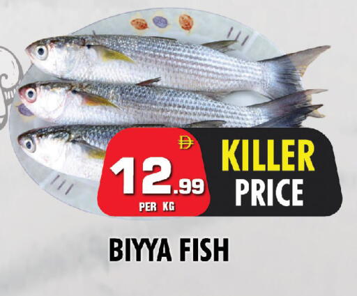 available at نايت تو نايت in الإمارات العربية المتحدة , الامارات - الشارقة / عجمان