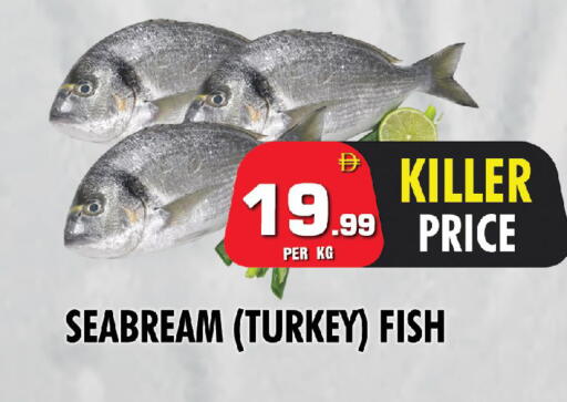 available at نايت تو نايت in الإمارات العربية المتحدة , الامارات - الشارقة / عجمان