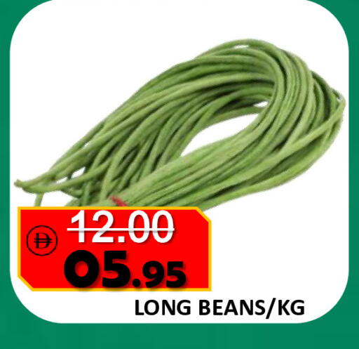 available at رويال جلف هايبرماركت in الإمارات العربية المتحدة , الامارات - أبو ظبي