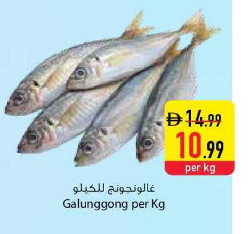 available at السفير ماركت in الإمارات العربية المتحدة , الامارات - الشارقة / عجمان