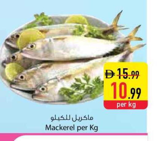 available at السفير ماركت in الإمارات العربية المتحدة , الامارات - الشارقة / عجمان