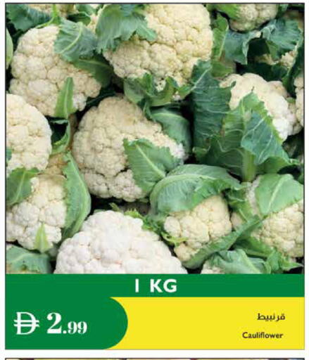 available at إسطنبول سوبرماركت in الإمارات العربية المتحدة , الامارات - الشارقة / عجمان