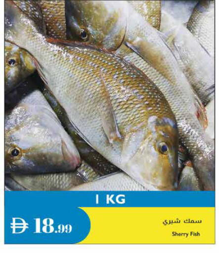 available at إسطنبول سوبرماركت in الإمارات العربية المتحدة , الامارات - ٱلْعَيْن‎