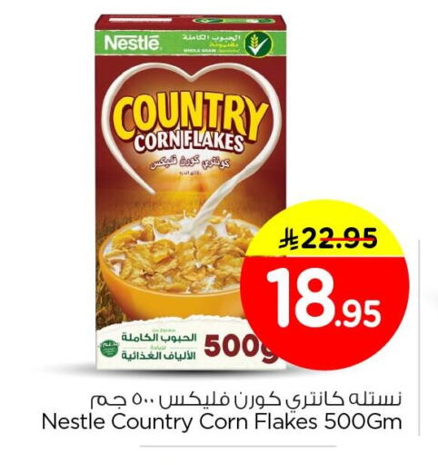 available at نستو in مملكة العربية السعودية, السعودية, سعودية - الجبيل‎