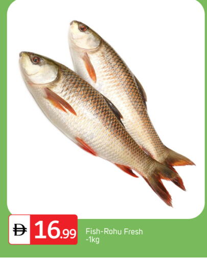 available at TALAL MARKET in UAE - Abu Dhabi