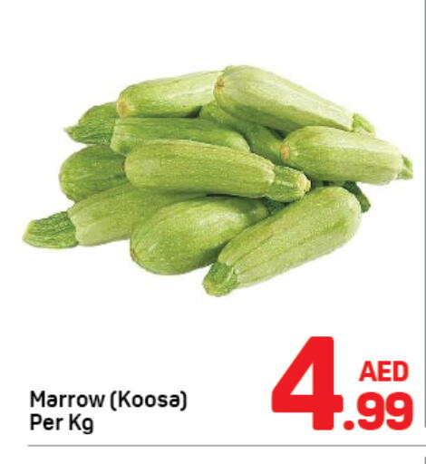 available at دي تو دي in الإمارات العربية المتحدة , الامارات - دبي