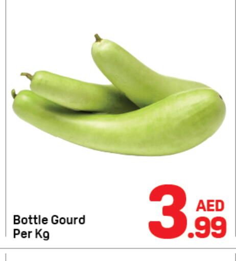 available at دي تو دي in الإمارات العربية المتحدة , الامارات - دبي