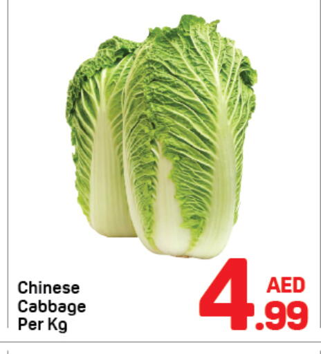 available at Day to Day Department Store in UAE - Dubai