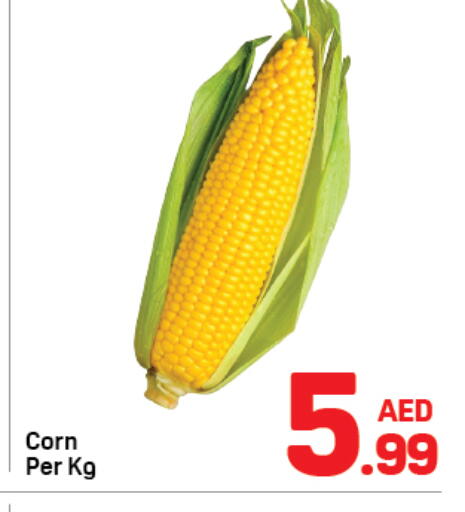 available at دي تو دي in الإمارات العربية المتحدة , الامارات - دبي