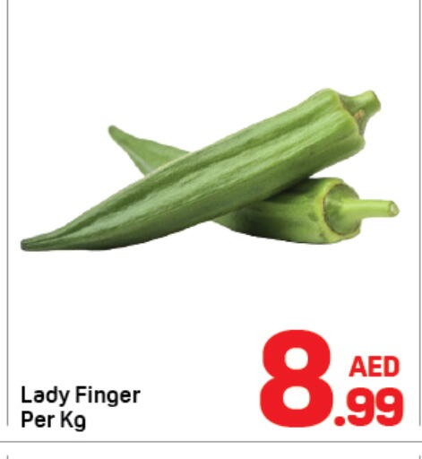 available at دي تو دي in الإمارات العربية المتحدة , الامارات - دبي