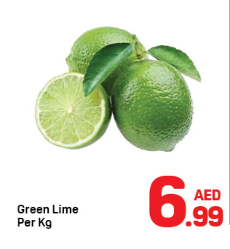 available at دي تو دي in الإمارات العربية المتحدة , الامارات - دبي