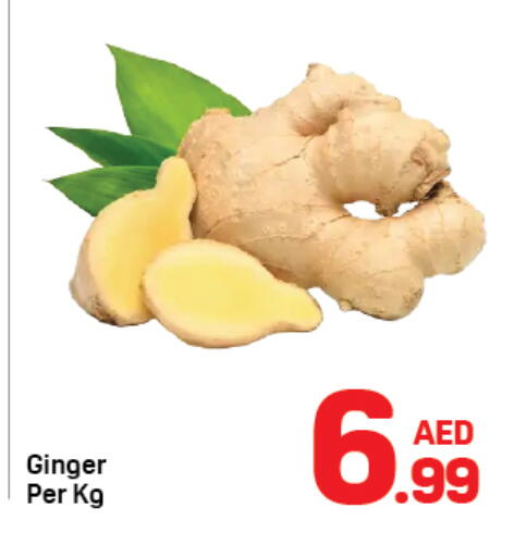 available at Day to Day Department Store in UAE - Dubai