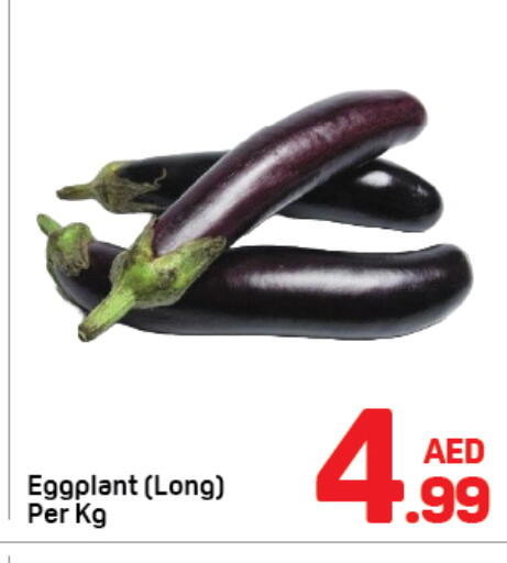 available at دي تو دي in الإمارات العربية المتحدة , الامارات - دبي