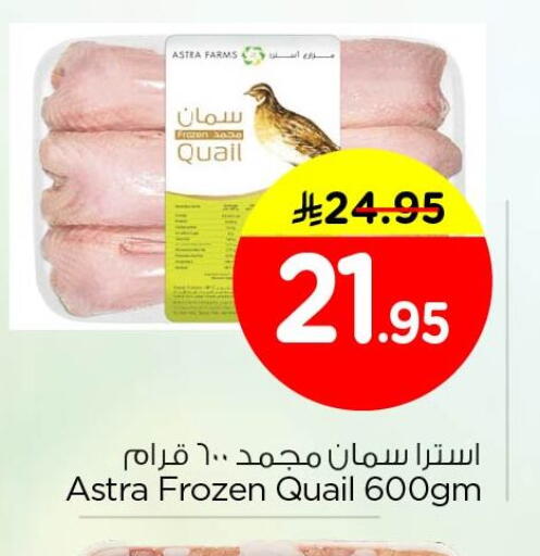 available at نستو in مملكة العربية السعودية, السعودية, سعودية - المنطقة الشرقية