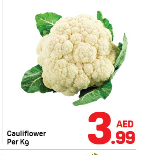 available at دي تو دي in الإمارات العربية المتحدة , الامارات - دبي