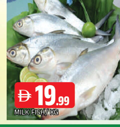 available at AL MADINA in UAE - Sharjah / Ajman