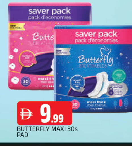 available at المدينة in الإمارات العربية المتحدة , الامارات - الشارقة / عجمان