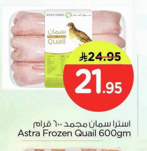 available at نستو in مملكة العربية السعودية, السعودية, سعودية - المنطقة الشرقية