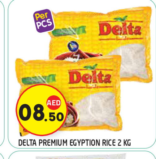 available at سنابل بني ياس in الإمارات العربية المتحدة , الامارات - ٱلْعَيْن‎