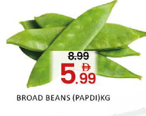 Mango available at Mango Hypermarket LLC in UAE - Dubai