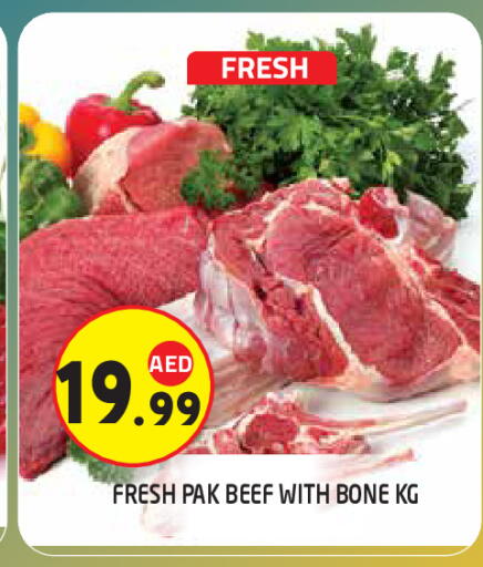 available at سنابل بني ياس in الإمارات العربية المتحدة , الامارات - أبو ظبي