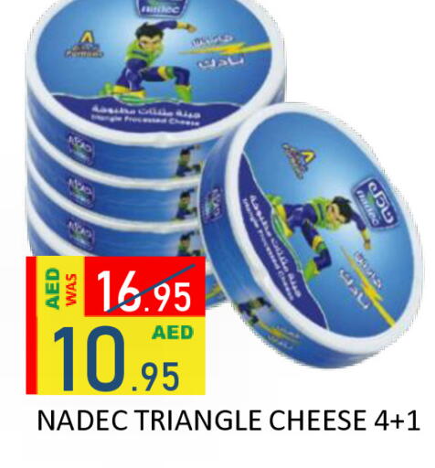 available at رويال جلف هايبرماركت in الإمارات العربية المتحدة , الامارات - أبو ظبي