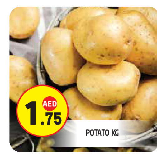 Potato available at سنابل بني ياس in الإمارات العربية المتحدة , الامارات - ٱلْعَيْن‎