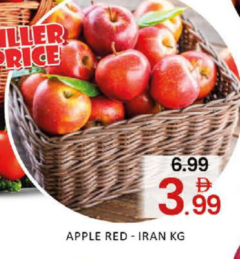 Mango available at Mango Hypermarket LLC in UAE - Dubai