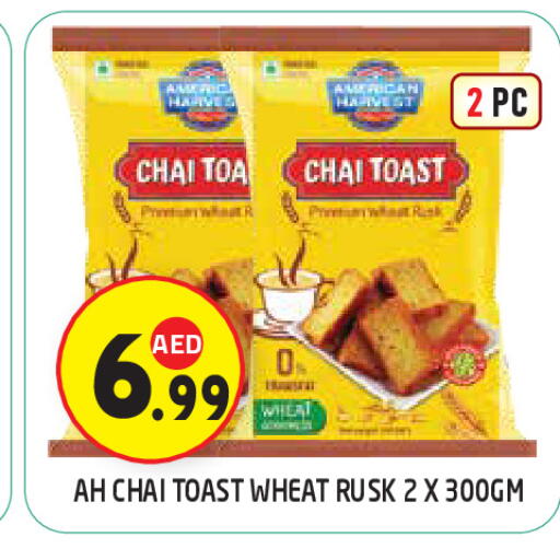 available at سنابل بني ياس in الإمارات العربية المتحدة , الامارات - ٱلْعَيْن‎