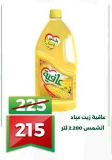 available at Green Tree Hypermarket - Sohag in Egypt - Cairo