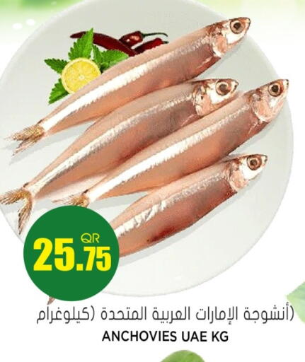 available at جراند هايبرماركت in قطر - الريان