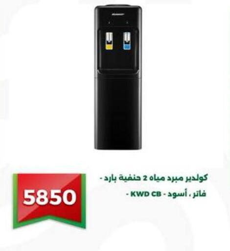 available at جرين تري هايبرماركت - سوهاج in Egypt - القاهرة