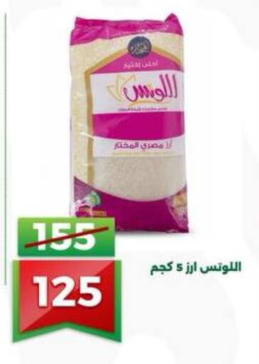 available at جرين تري هايبرماركت - سوهاج in Egypt - القاهرة