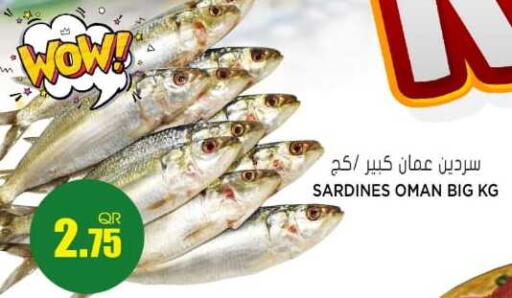 available at جراند هايبرماركت in قطر - الريان