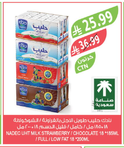 Strawberry available at المزرعة in مملكة العربية السعودية, السعودية, سعودية - نجران